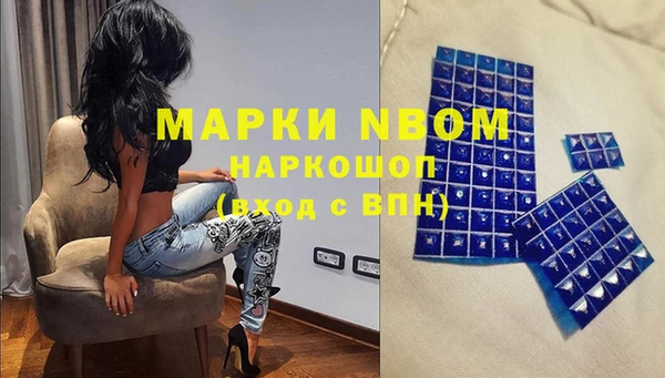 индика Армянск